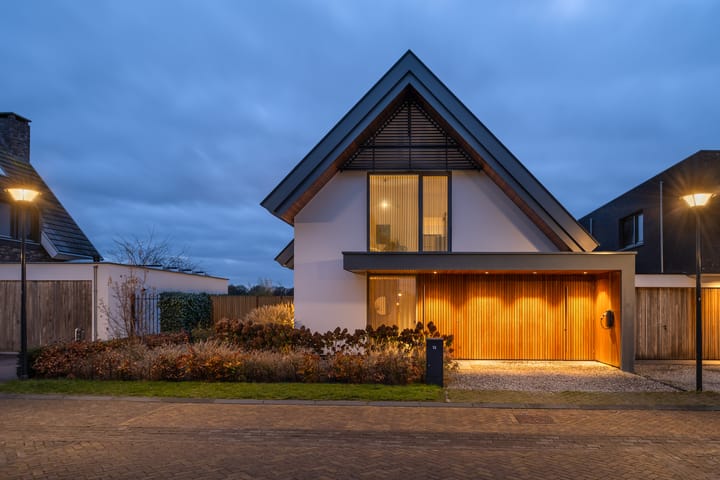 Foto 28 van Zilverkarper 13