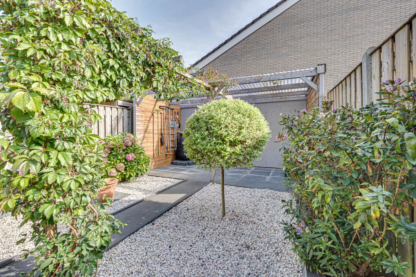 Foto 35 van Calsstraat 54