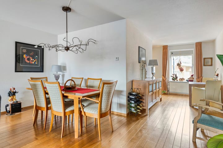 Photo 5 of de Hofnar 44