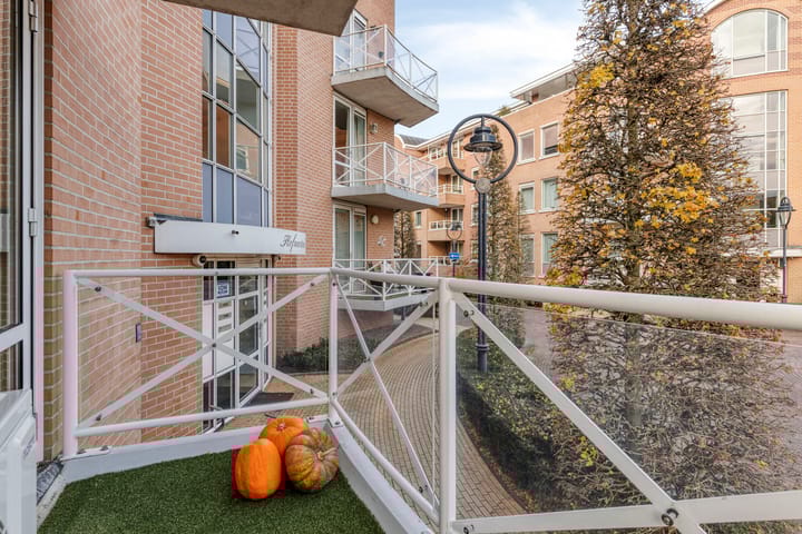 Photo 20 of de Hofnar 44