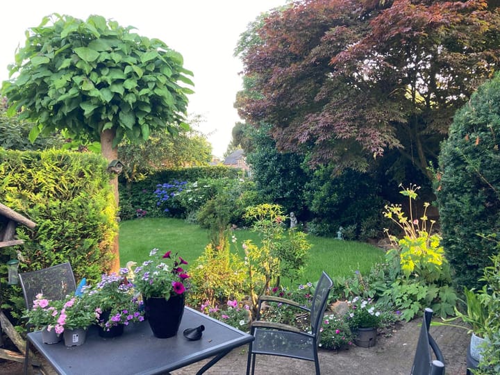 Foto 2 van Schimmelpennincklaan 1