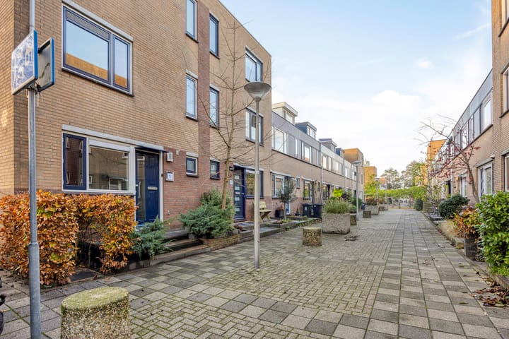 Foto 2 van Zilvermeeuw 1