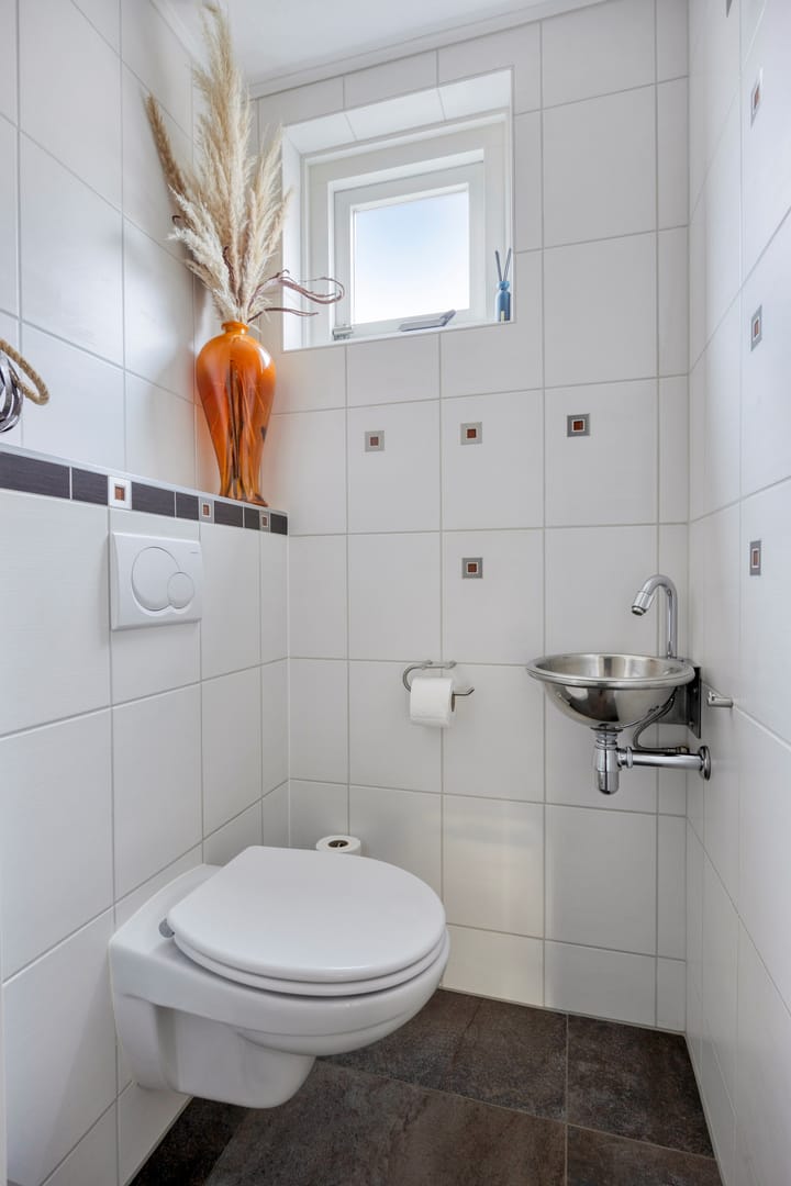 Foto 4 van Zilvermeeuw 1