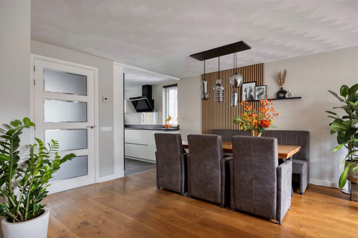 Foto 8 van Zilvermeeuw 1