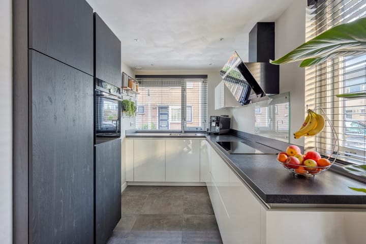 Foto 9 van Zilvermeeuw 1