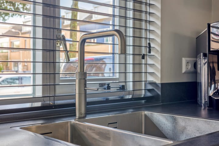 Foto 10 van Zilvermeeuw 1