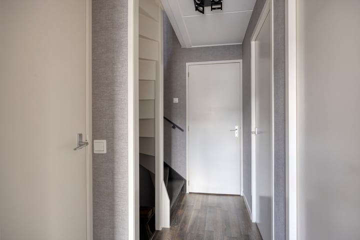 Foto 11 van Zilvermeeuw 1