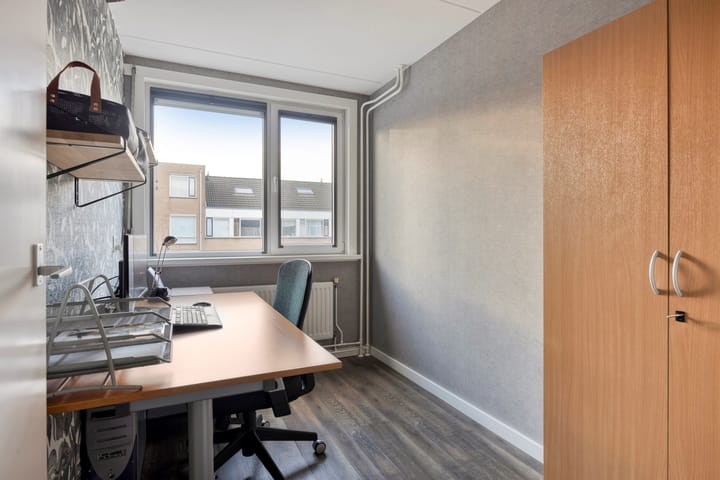 Foto 12 van Zilvermeeuw 1