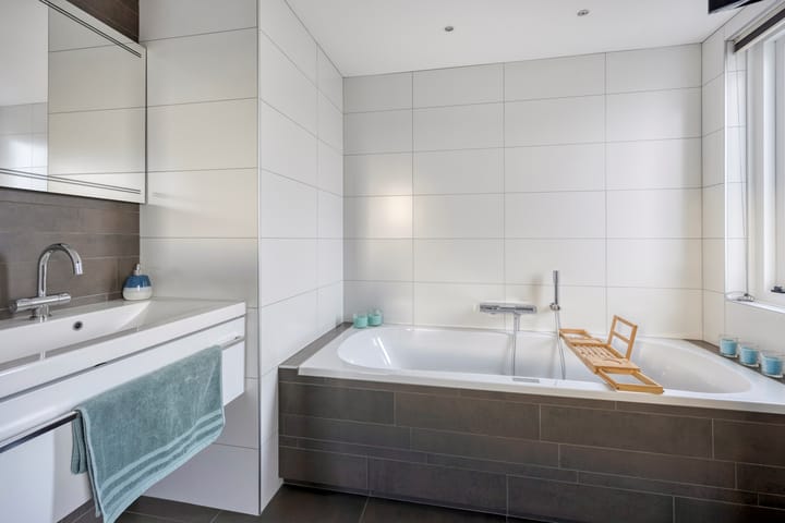 Foto 22 van Zilvermeeuw 1