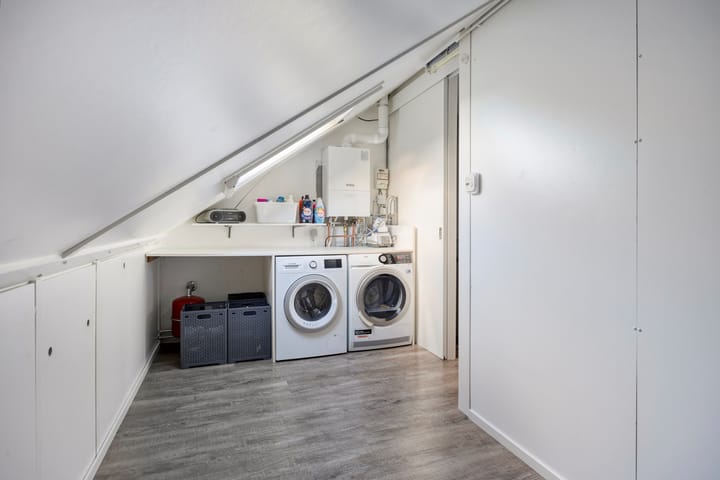 Foto 24 van Zilvermeeuw 1