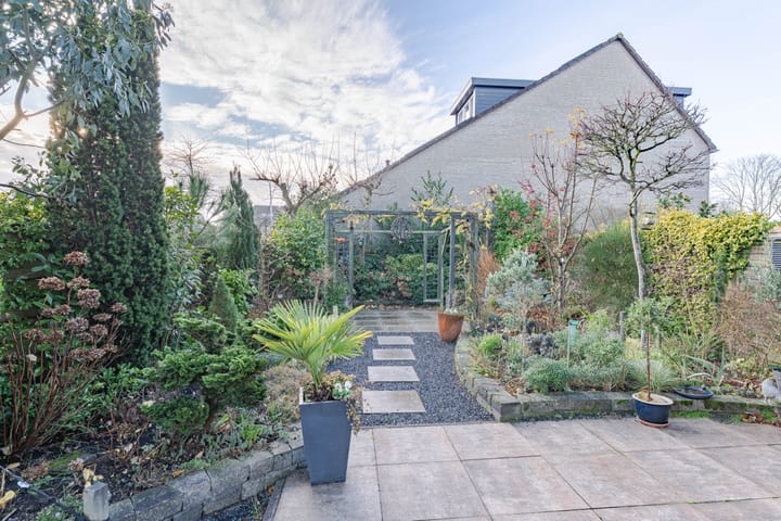 Foto 13 van Kruiskruid 24