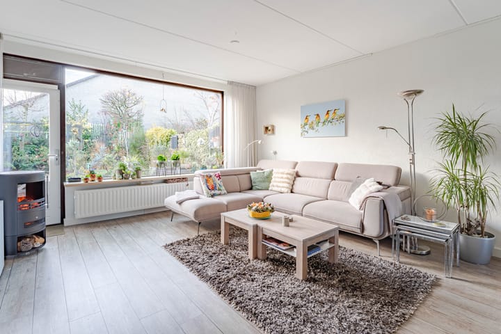 Foto 18 van Kruiskruid 24