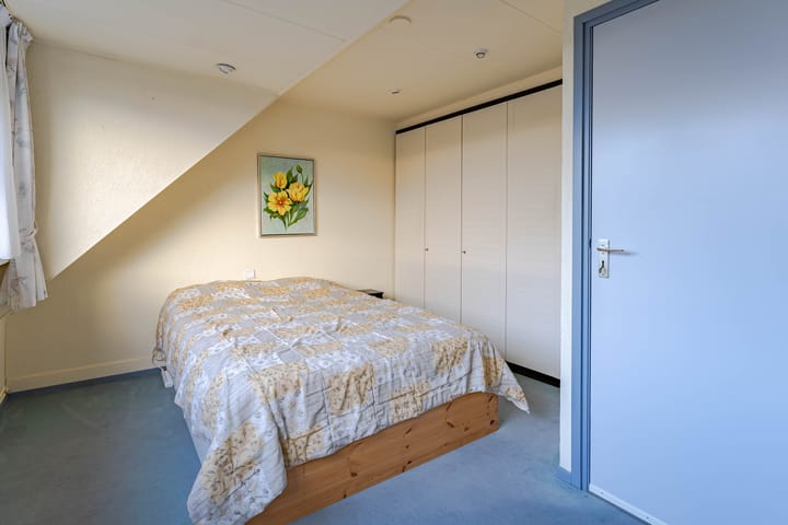 Foto 27 van Kruiskruid 24