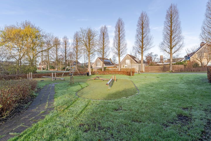 Foto 29 van Kruiskruid 24