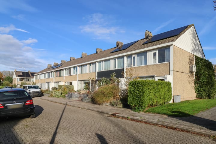 Foto 2 van Gossepalen 2