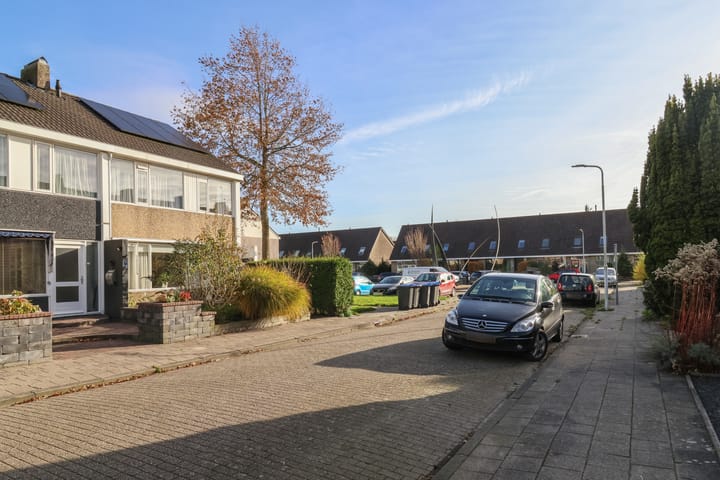 Foto 3 van Gossepalen 2