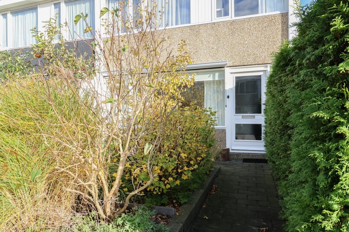 Foto 5 van Gossepalen 2