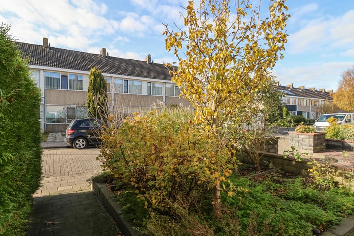 Foto 6 van Gossepalen 2