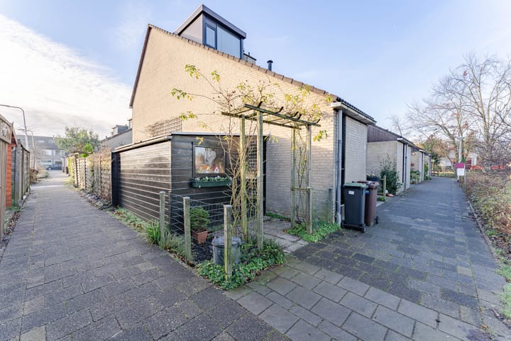 Foto 2 van Kruiskruid 24