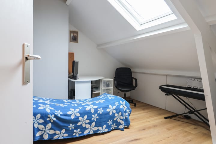 Foto 29 van Gossepalen 2