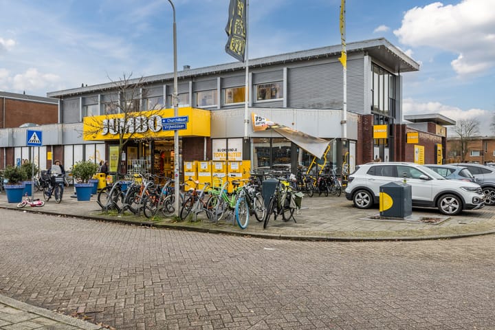 Foto 45 van Rooseveltlaan 1