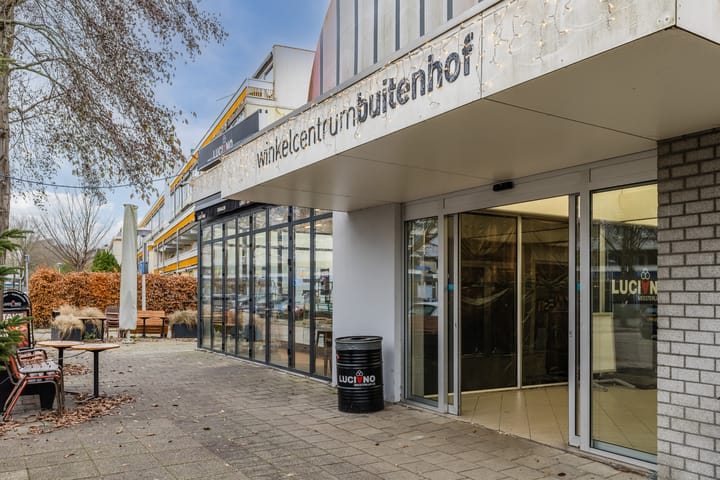 Foto 46 van Rooseveltlaan 1