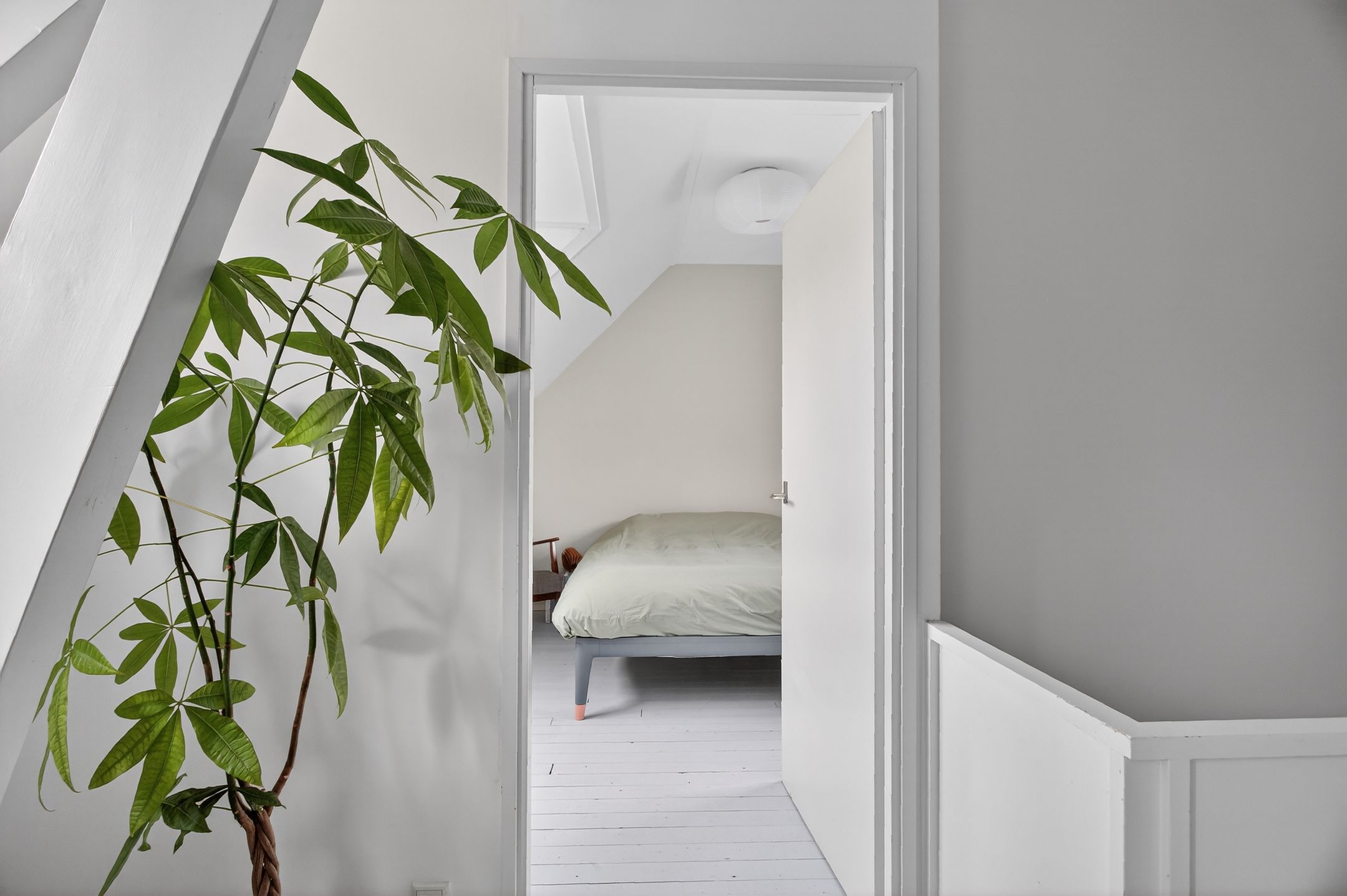 Foto 21 van Azaleastraat 6