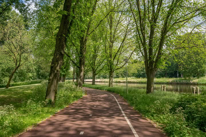 Foto 42 van Azaleastraat 6