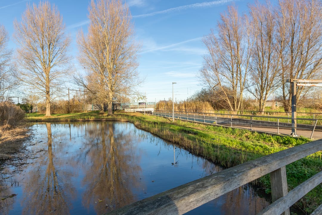 Foto 32 van Rossinistraat 88