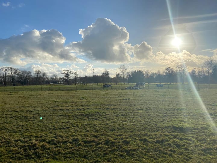 Foto 49 van Elbertsveen 11