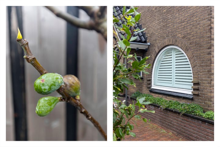 Foto 37 van Kastanjelaan 83