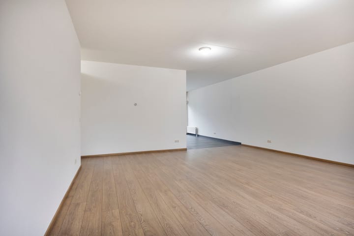 Foto 9 van Goudsbloem 8