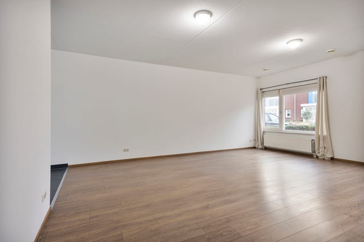 Foto 12 van Goudsbloem 8