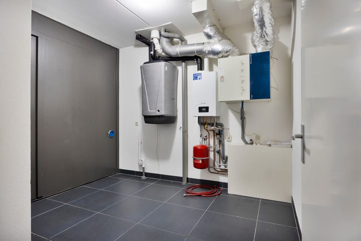 Foto 20 van Goudsbloem 8