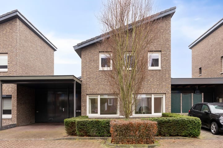 Foto 37 van Goudsbloem 8