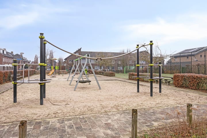 Foto 40 van Goudsbloem 8