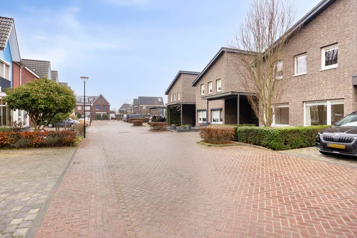 Foto 38 van Goudsbloem 8