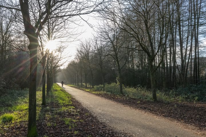 Foto 29 van Simon Vestdijksingel 73