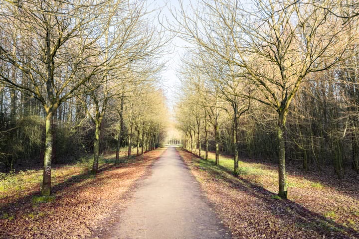 Foto 30 van Simon Vestdijksingel 73