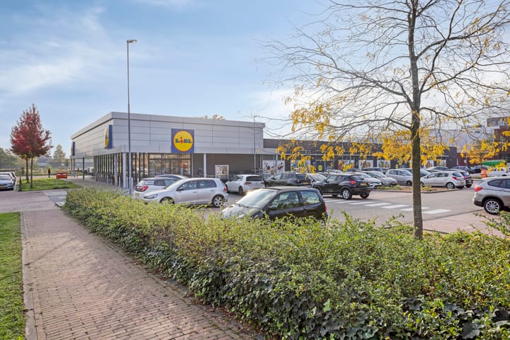 Foto 33 van Suytboulevard 57