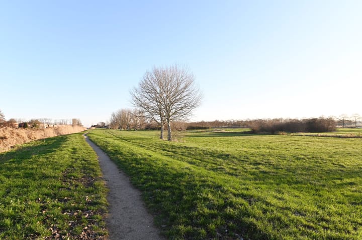 Foto 44 van Adriaen Brouwerstraat 90