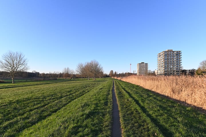 Foto 46 van Adriaen Brouwerstraat 90