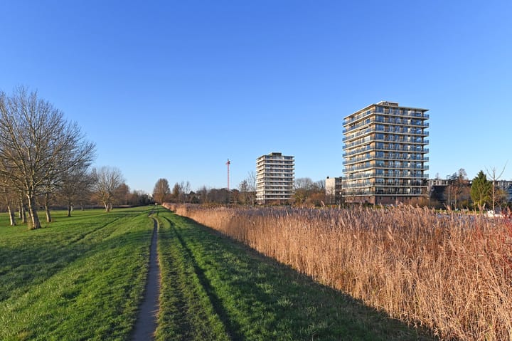 Foto 47 van Adriaen Brouwerstraat 90