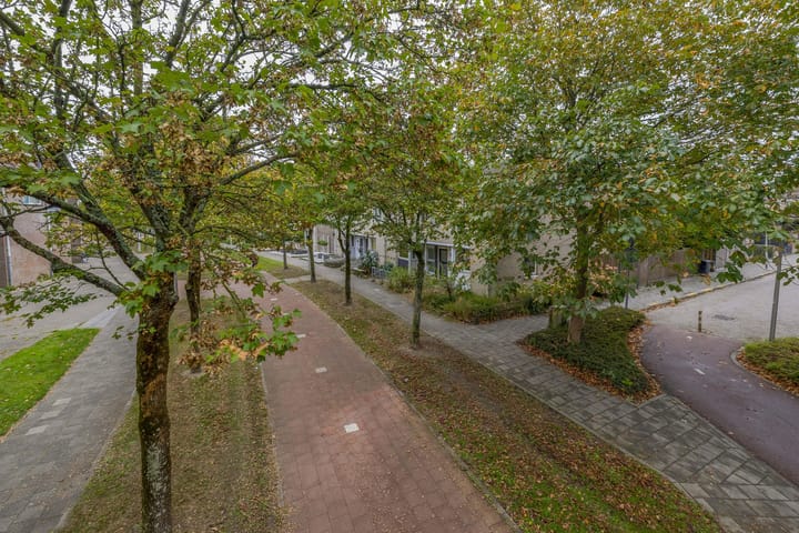 Foto 31 van Karekiet 49