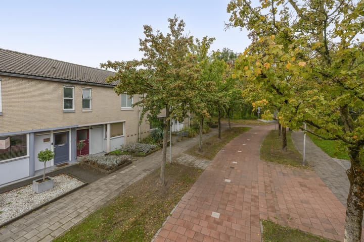 Foto 30 van Karekiet 49