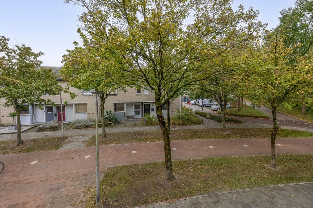 Photo 32 of Karekiet 49