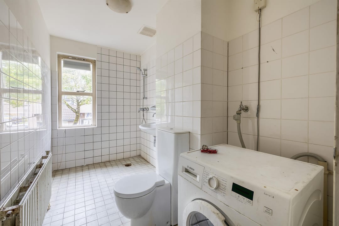 Photo 16 of Karekiet 49