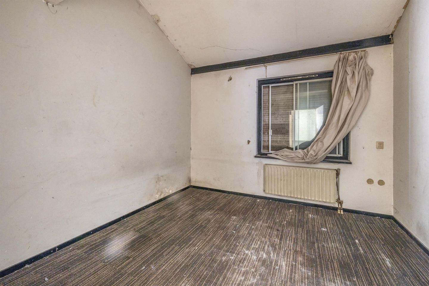 Photo 20 of Karekiet 49