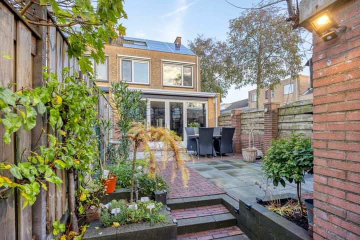 Foto 26 van Zilvermeeuw 1