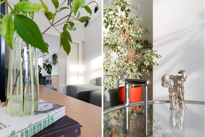 Foto 14 van Zweedsestraat 167-B01